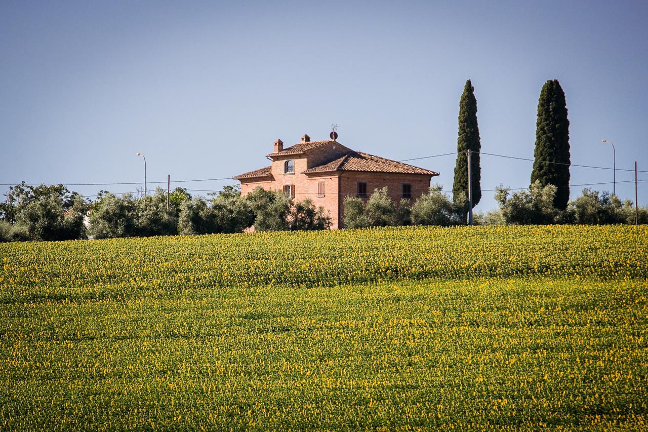Villa Il Giardino Di Diana Cortona Bagian luar foto